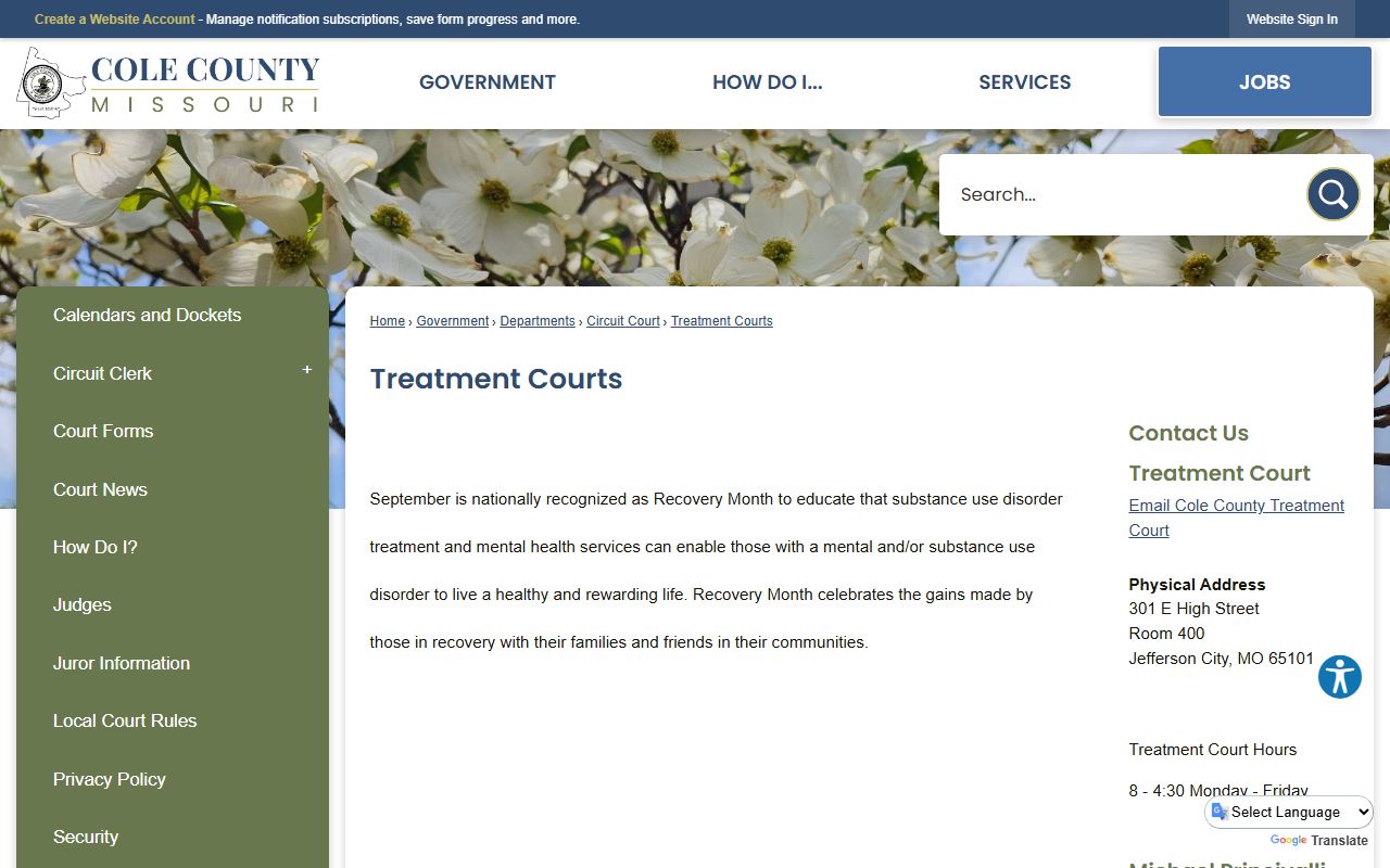 Cole County court dockets Treatment Courts page